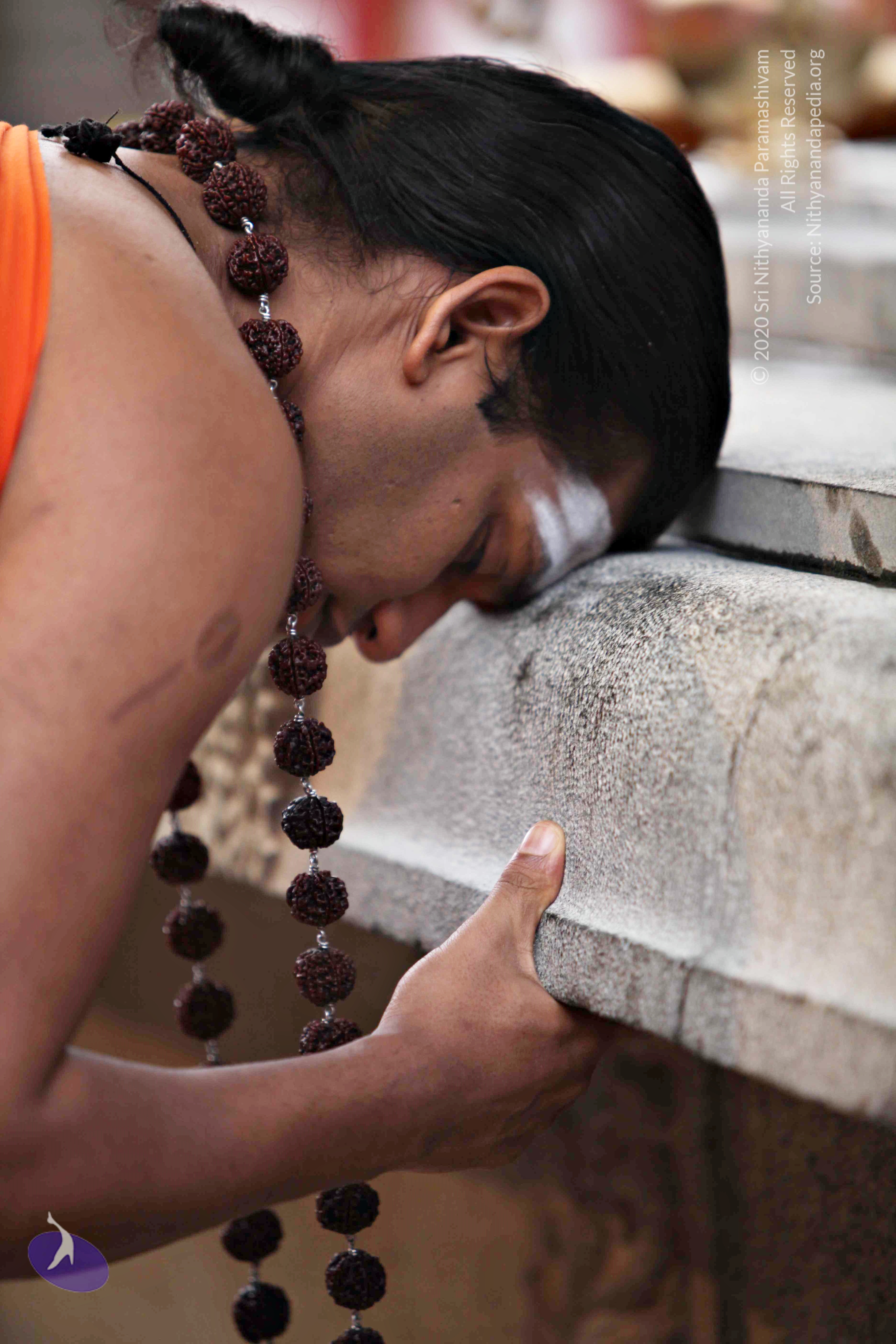 20110225_Photo_1000_IMG_0794_CMP_WM